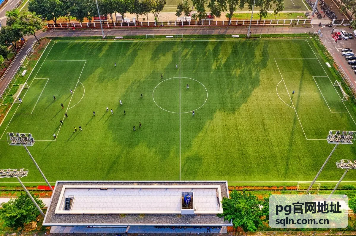pg官网地址访问线路适配示意图