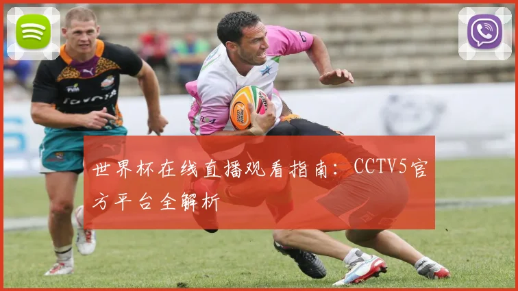 世界杯在线直播观看指南：CCTV5官方平台全解析