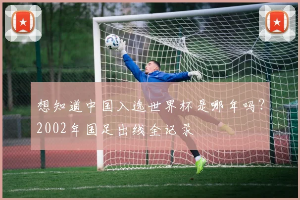 想知道中国入选世界杯是哪年吗？2002年国足出线全记录